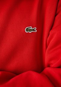 Pull-over rouge en tissu doux, présentant un petit logo de crocodile vert brodé sur le côté gauche. Texture lisse avec de fines côtes.