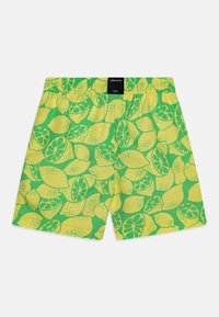 Björn Borg PALM SPRINGS BIG  - Plaukimo šortai - light green