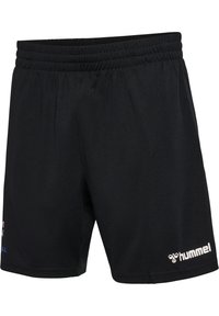 Hummel FFHB REFEREE - Kurze Sporthose - black