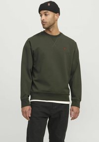 Olive green sweatshirt made of soft fabric, featuring a round neckline, ribbed cuffs, and a small red accent logo on the chest.