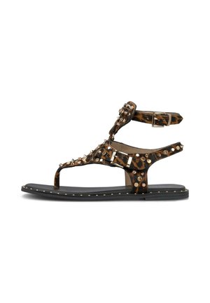 Sandalia plana con estampado de leopardo, múltiples tiras, tachuelas doradas, púas y dos hebillas ajustables sobre una suela negra.