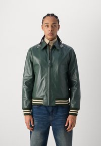 Schott STRIPE - Bomber stiliaus striukė - green/offwhite