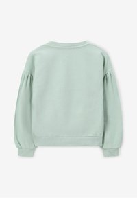 Sweatshirt vert clair avec un col rond et de longues manches froncées. Fabriqué en tissu doux et texturé. Ourlet et poignets côtelés. Design simple.