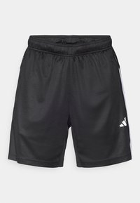 Pantalones cortos deportivos negros con cintura elástica, bolsillos laterales con cremallera y rayas horizontales blancas. Presentan un logo en la parte inferior de la pierna izquierda.