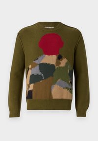 REVERSE INTARSIA  - Pulover - green