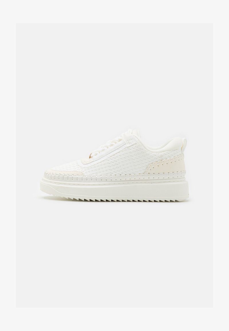 Steve Madden CHARLY - Sneakers laag - white