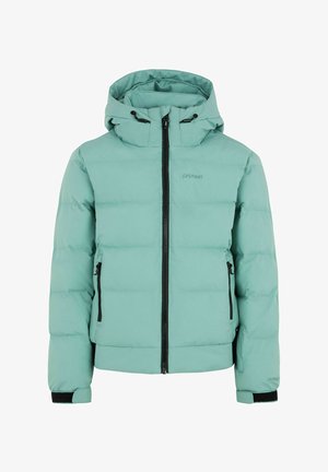 Giacca da snowboard - crocodile green