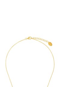 Collar en tono dorado con una cadena delicada, que cuenta con un cierre tipo langosta y una longitud ajustable con una etiqueta ovalada adjunta.