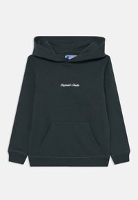 Neizbrano, forest river