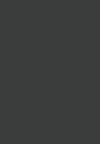 383335 graphite shimmer ink