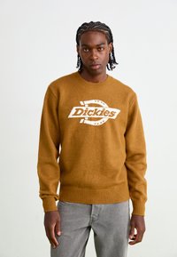 Brauner Strickpullover mit gerippten Bündchen und Saum, mit einem weißen "Dickies"-Logo in der Mitte. Getragen über grauen Hosen.