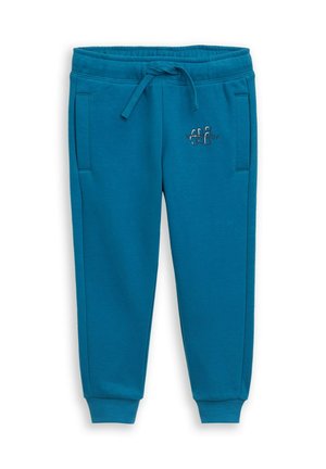 JOGGING MIT PRINT - Trainingsbroek - dark tile green