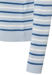 Lichtblauwe gebreide trui met horizontale strepen in tinten blauw en wit, met geribbelde manchetten en zoom.