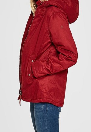 Veste d'hiver - dark red