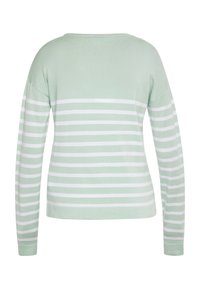 Maglione a maglia verde chiaro con righe bianche orizzontali, maniche lunghe e scollo rotondo. Texture morbida con vestibilità comoda.