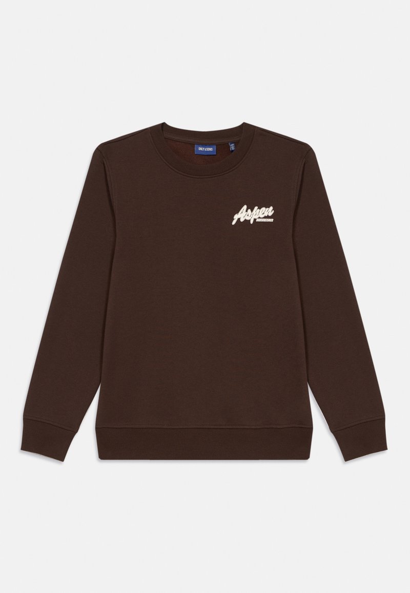 Felpa marrone con scollo rotondo, maniche lunghe e logo bianco "Aspen" sul petto. Realizzata in tessuto morbido e testurizzato.