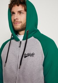 Graue Kapuzenjacke mit grünen Ärmeln, ausgestattet mit einer Kordelzugkapuze und gesticktem "Spitzbub"-Logo. Weicher Stoff mit lockerer Passform.