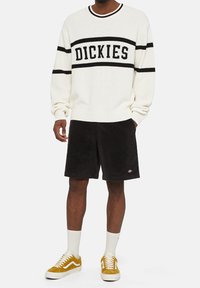 Dickies Stickad tröja - off-white
