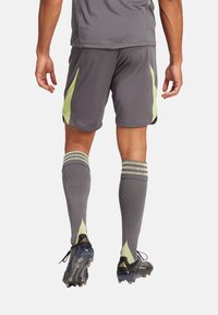 adidas Performance Kurze Sporthose - grau