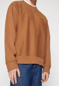 Carhartt WIP Sudadera - light brown