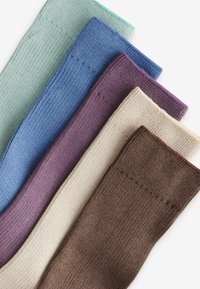 Next 5 PACK REGULAR FIT - Zeķes - blue purple pink