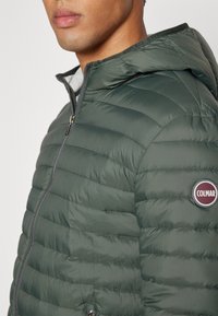 Colmar Originals MENS JACKET - Jakna ispunjena paperjem - botanical/ice