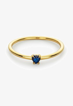 PAUL HEWITT, RECYCELT - Ringe - gold-coloured