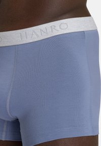 Hanro RETRO 2 PACK ESSENTIALS - Boxerkalsong - labradorblue/moss