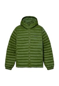 DURABLE REPELLENT HOODED - Winterjacke - black forest green