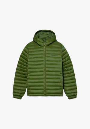 Green, padded jacket with a hood. Features horizontal quilted design, zippered front, and logo on the chest. Lightweight fabric texture.