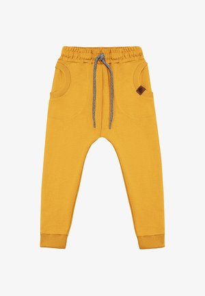 Młody blond chłopiec balansujący na jednej nodze z wyciągniętymi ramionami, ubrany w zielony sweter z nadrukiem tygrysa i musztardowo-żółte spodnie.