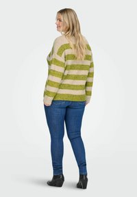 Groen en beige gestreepte gebreide trui met een losse pasvorm, cropped lengte en geribde zoom. Draagt met donkerblauwe skinny jeans en zwarte wedge laarzen.