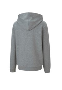 Puma TEAMGOAL 23 CASUALS HOODY JR UNISEX - Felpa - grau