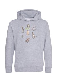 Disney WINNIE THE POOH jasnoszary melanż