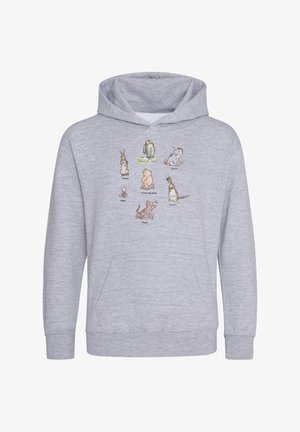 Disney WINNIE THE POOH POSTER - Jersey con capucha - heather grey