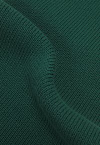 Tommy Hilfiger SMALL FLAG SCARF UNISEX - Fular - ornamental green