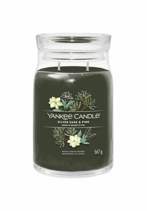 YANKEE CANDLE SIGNATURE LARGE JAR SILVER SAGE & PINE 567G - Doftljus - green