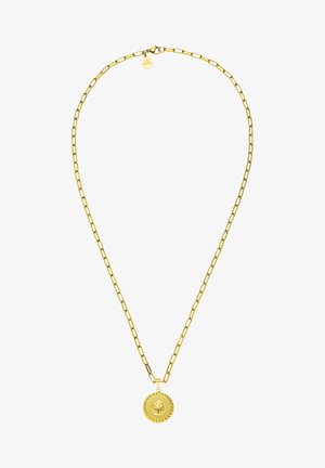 Collier chaîne en or avec des maillons rectangulaires et un pendentif rond en relief d'un lion suspendu au centre.