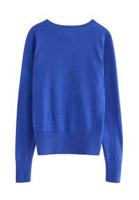 Maglione blu con scollo rotondo, maniche lunghe e polsini a costine. Texture liscia senza motivi. Design semplice e classico.