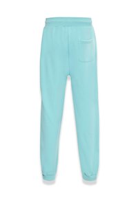 Dropsize BAZIX REPUBLIQ SUPER HEAVY BLANK JOGGER - Træningsbukser - tiffany