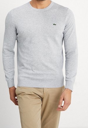 Homme portant un pull gris clair à col rond avec un petit logo vert sur la poitrine et un pantalon beige, debout avec une main légèrement levée.