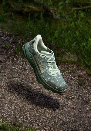 SPEEDGOAT 6 GTX - Chaussures de running - sea glass/fern