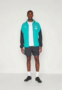 Jachetă teal și neagră cu accente albe, purtată cu pantaloni scurți negri în dungi. Modelul poartă adidași negri și un tricou alb dedesubt.