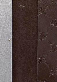 Brązowa skóra o fakturze z wytłaczanymi wzorami liści palmowych, obok srebrna metalowa płyta. Zawiera okrągły metalowy nity.