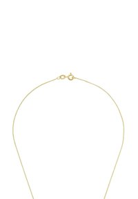 Collar de cadena chapada en oro con un diseño delgado y delicado, cerrado con un broche de langosta. Textura suave y acabado brillante.