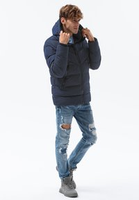 Ombre Giacca invernale - blue