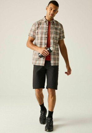 Regatta, REGATTA ANTI-INSECT TRAVEL LIGHT SHORT SLEEVED SHIRT SHIRTS - Chemise - stone white check