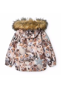 Molo HOPLA JACKET UNISEX - Žieminė striukė - brown
