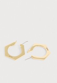 Kuldset värvi kuusnurksete rõngakujuliste kõrvarõngastega, millel on poleeritud viimistlus ja avatud disain. Varustatud liigendklambriga mugavaks kandmiseks.