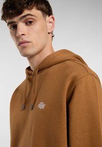 Giovane con capelli ricci corti fissa direttamente la macchina fotografica, indossando una felpa con cappuccio marrone con un piccolo logo sul petto.